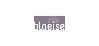 Bloeise – online marketing
